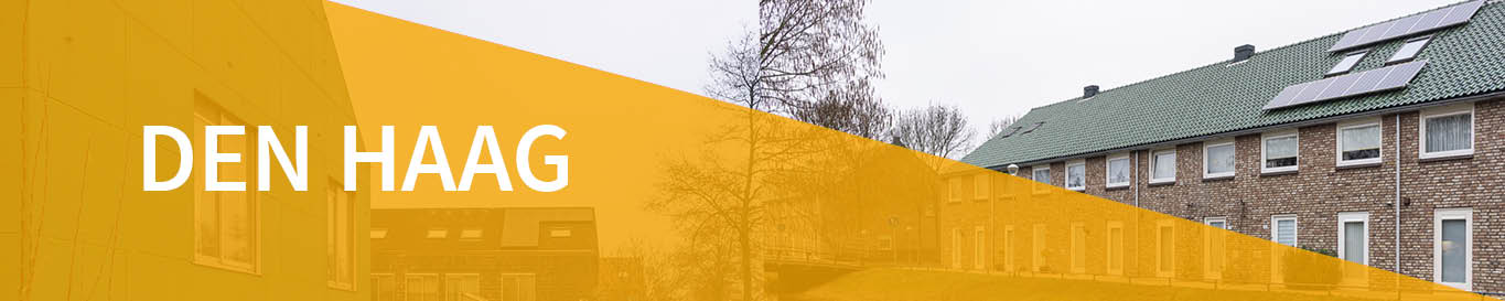 DenHaag_banner