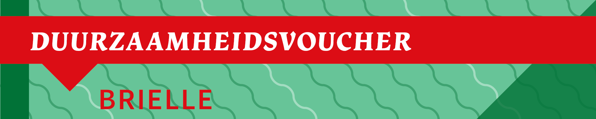 Banner_BrielleVoucher02